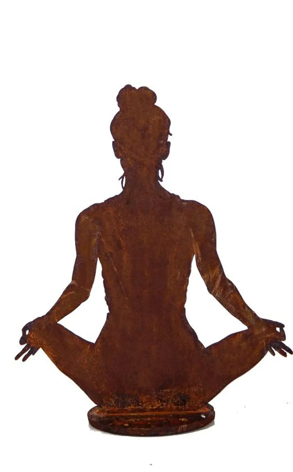 Product image 1 of the product “Amsel ”