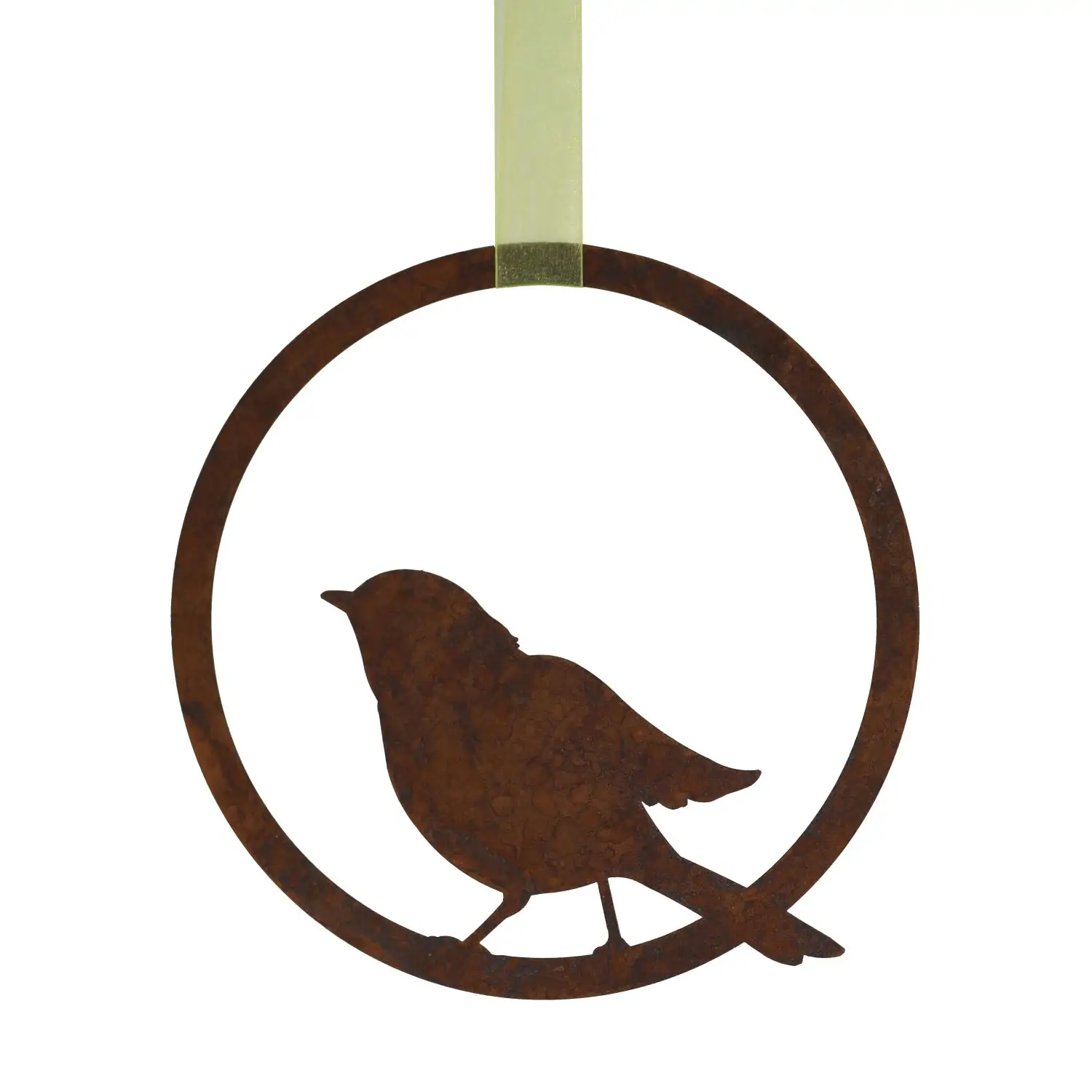 Product image 1 of the product “Amsel ”