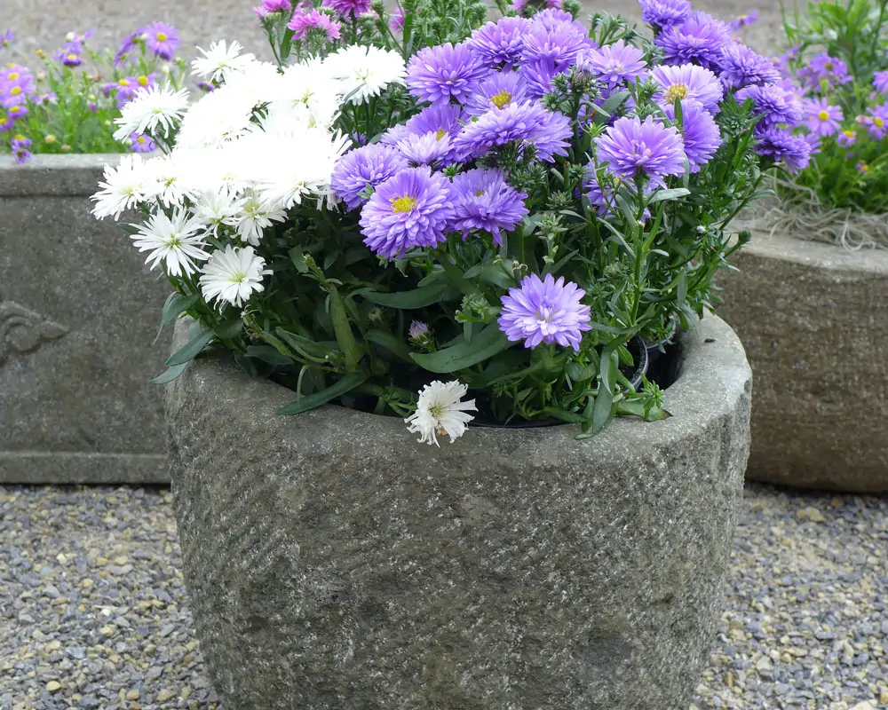 Artikelbild 2 des Artikels “Trog, rund, bossierte Außenfläche, 30 cm Ø “
