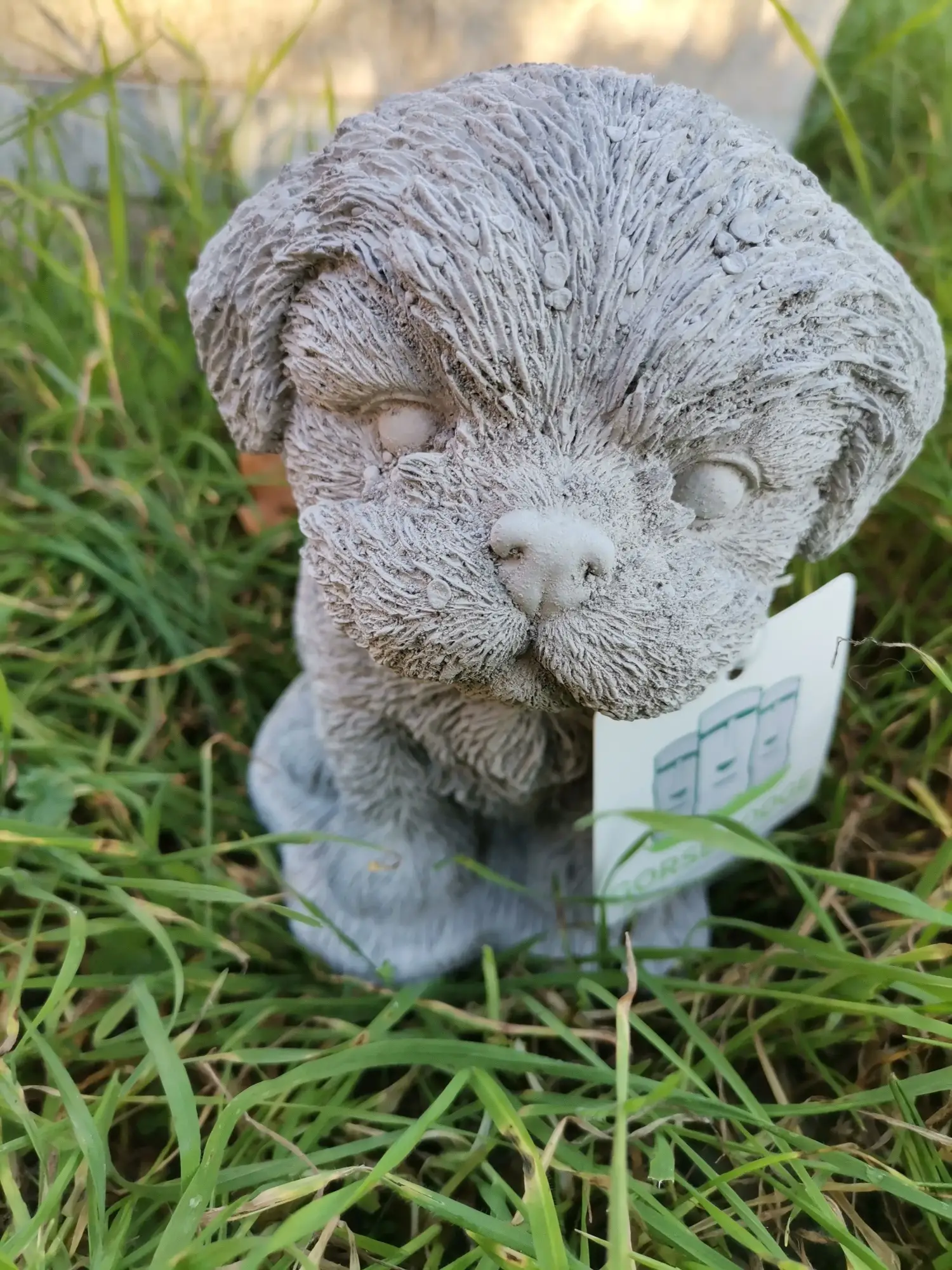 Artikelbild 2 des Artikels “Hund, kleiner Welpe 