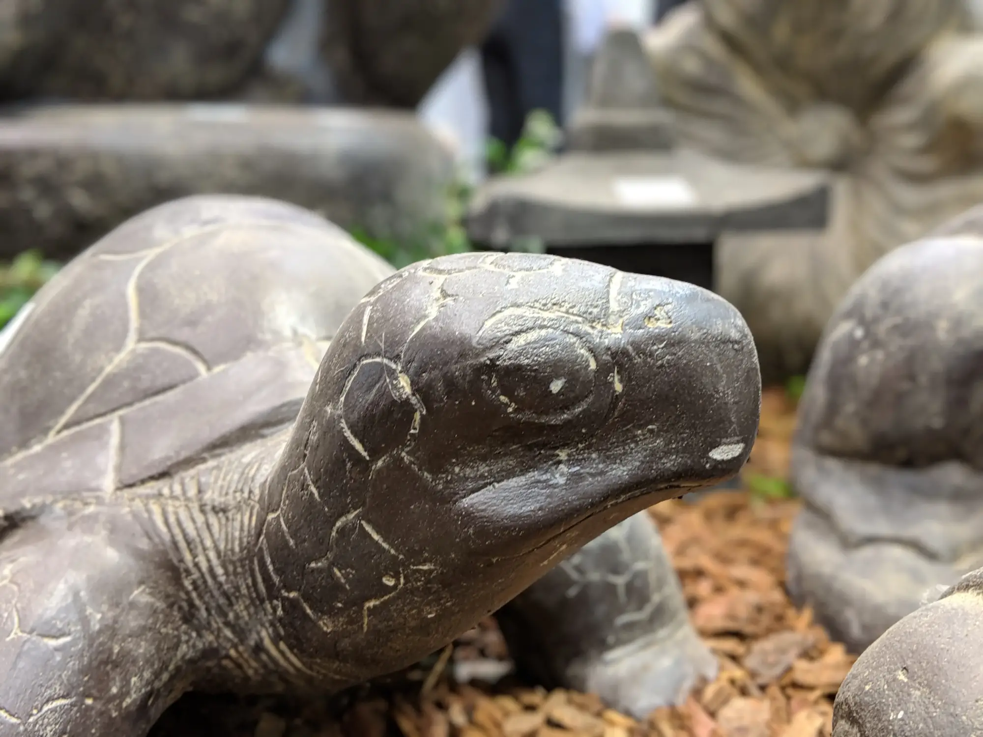 Artikelbild 2 des Artikels “Schildkröte, ca. 33 cm “