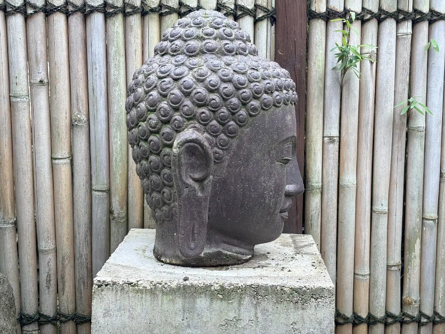 Product image 2 of the product “Buddha head as a water feature, 35x32x50cm, cast stone, hollow, handcrafted & coloured ”