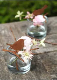 Product image 2 of the product “Amsel ”