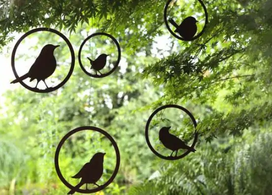 Product image 2 of the product “Amsel ”