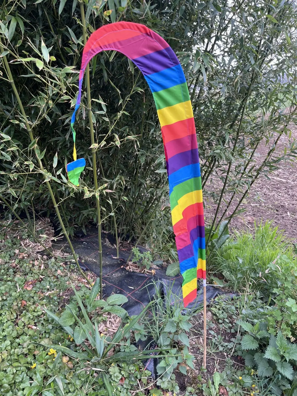 Artikelbild 3 des Artikels “Bali-Fahne Regenbogen – 200 cm mit Bambusstab “