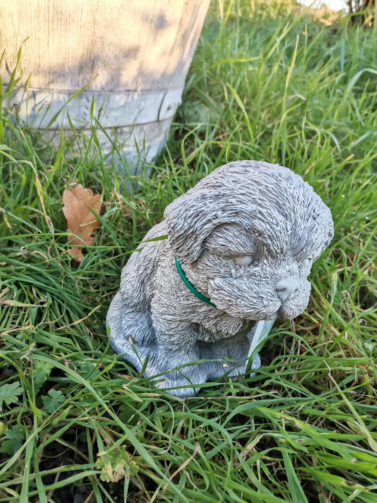 Artikelbild 3 des Artikels “Hund, kleiner Welpe 