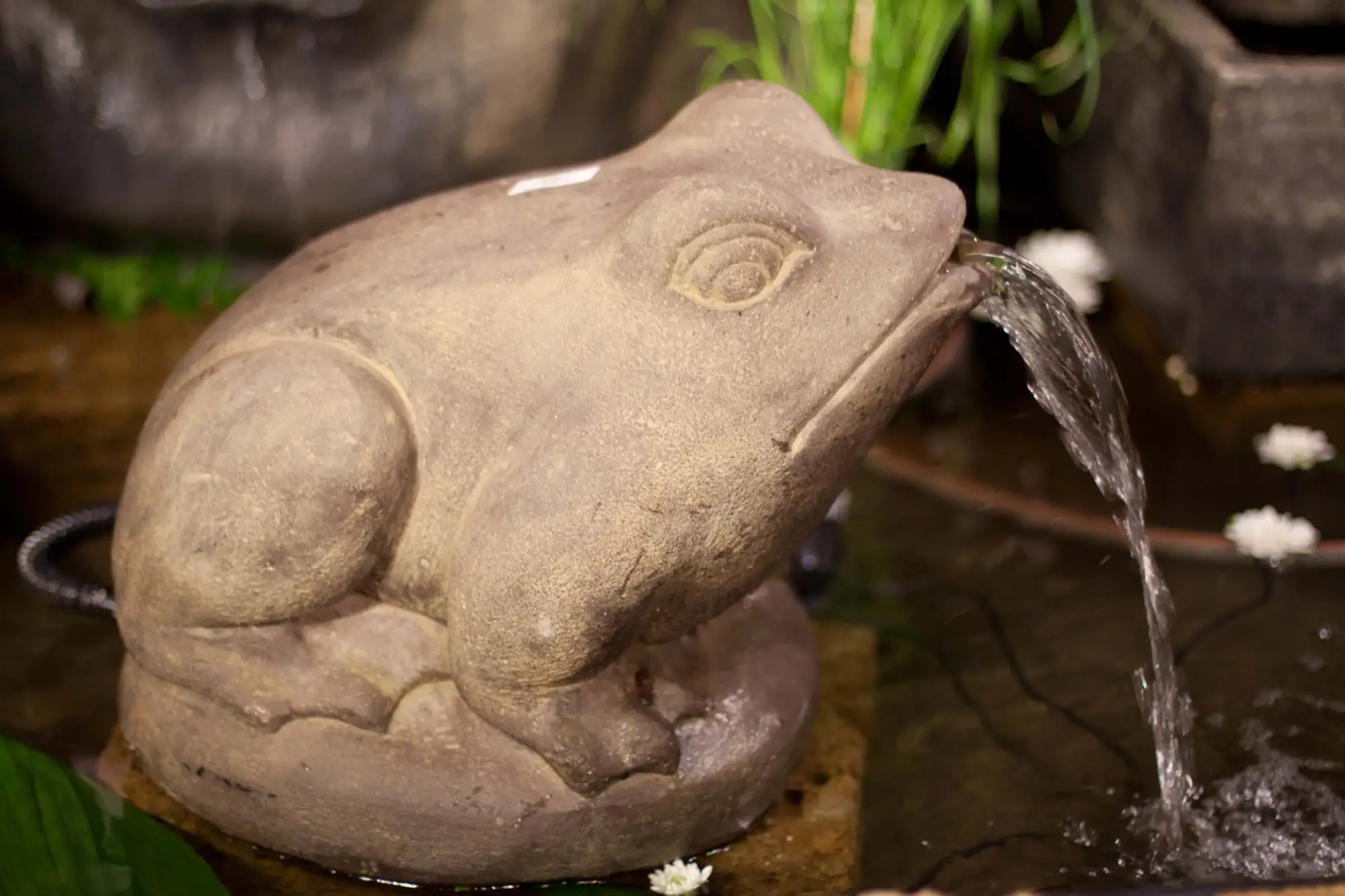 Product image 3 of the product “Seated frog, 33 cm H ”